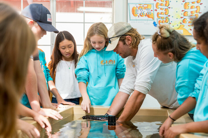 Staff showing kids about marine life.